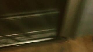 Follow friend's slut wife into public camp shower and cabin to creampie