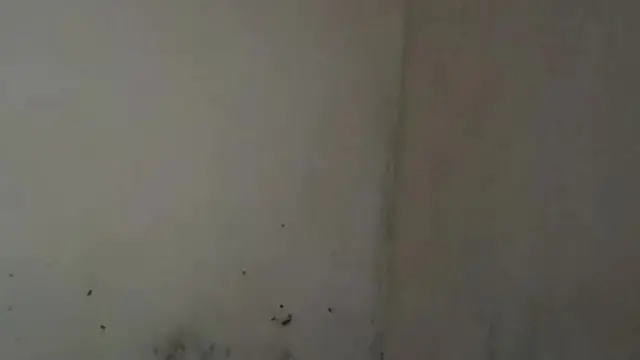 Siririca em nova sessão de prazer intenso