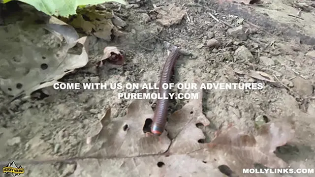 Risky Public Sex POV - Hiking makes me horny