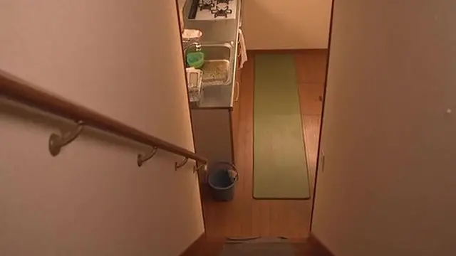 Housewife 1 - Sisho Terashima