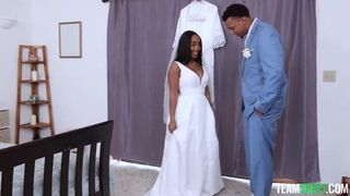 Big Brown Tirries - Lily Starfire