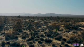 Desert Sex Slut Honey Gold Gets Destroyed by Huge Dick🍆